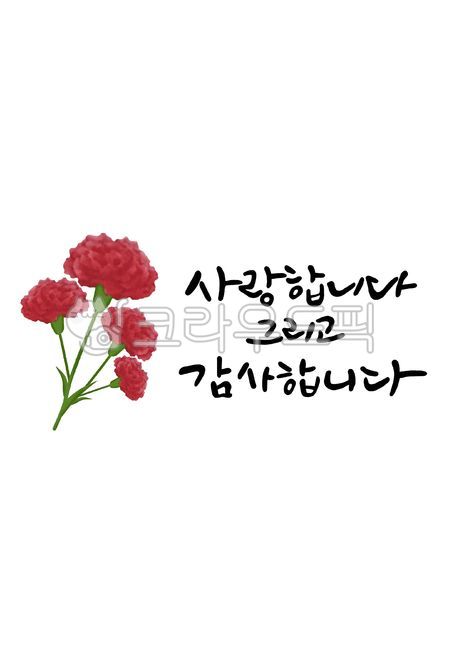 카네이션,어버이날,가정의날,스승의날,감사합니다,사랑합니다,식물,꽃,flower,blossom,carnation,캘리그라피,감사인사,캘리,손글씨,부모님,사랑,감사,은혜