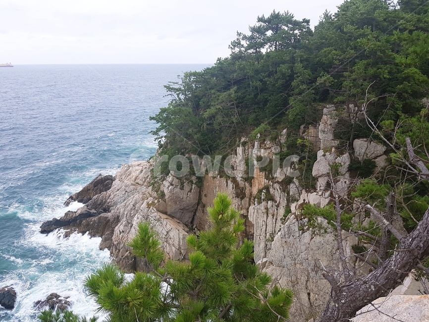 거제도,한려해상국립공원,자연,바다,절벽
