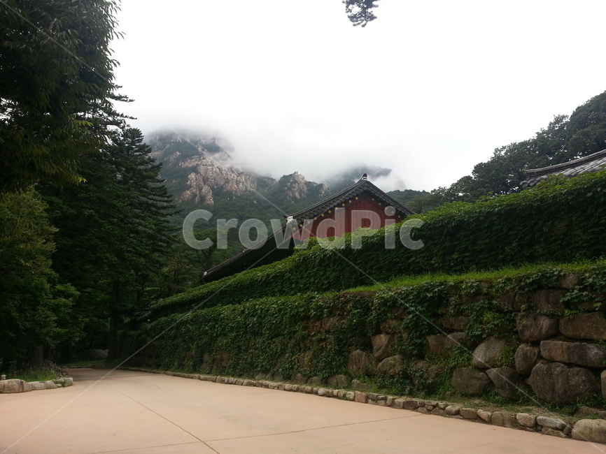 풍경,숲,산사,담,자연
