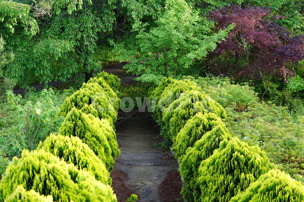 산,마을,풍경,나무,하늘,자연,자연,풍경,nature,landscape,plant,식물