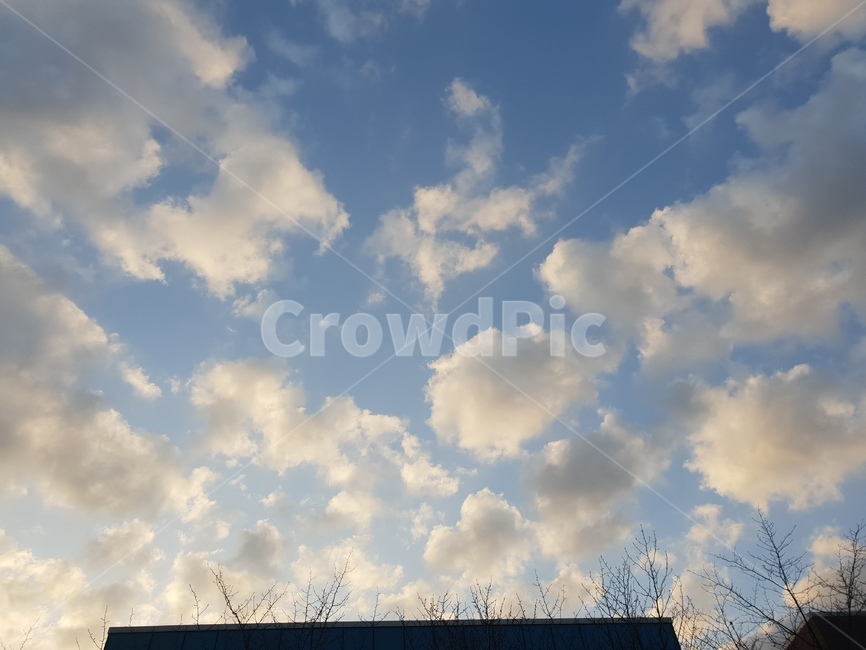풍경,하늘,나무,햇빛,구름,자연,풍경,nature,landscape,weather,날씨,outdoors,옥외,cumulus,적운,cloud,sky