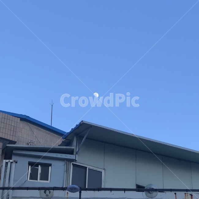 nature,달,반달,하늘,풍경,초저녁하늘,초저녁,자연,outdoors,옥외,moon,sky