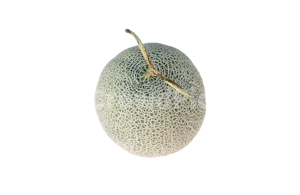 메론,멜론,과일,열매,식물,음식,자연,흰배경,식재료,누끼,줄기,과일,열매,fruit,누끼,remove background