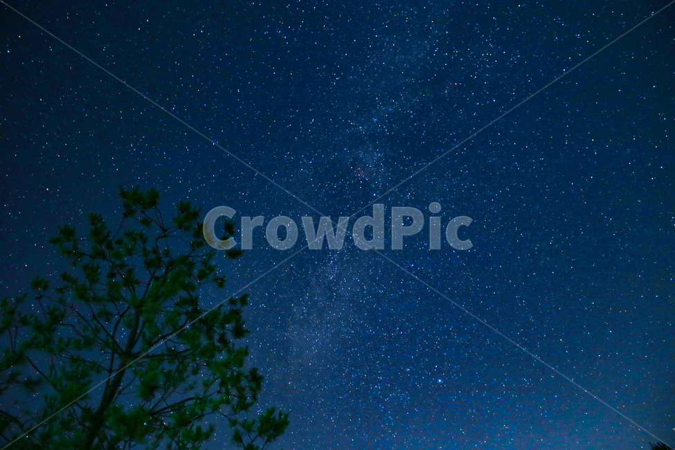 별,은하수,강원도,야경,star,galaxy,야경,밤,풍경,nightscape,night,landscape,nature,자연,outdoors,옥외,universe,우주,astronomy,천문학,outer space,대기권 밖,starry sky,별이 빛나는 하늘