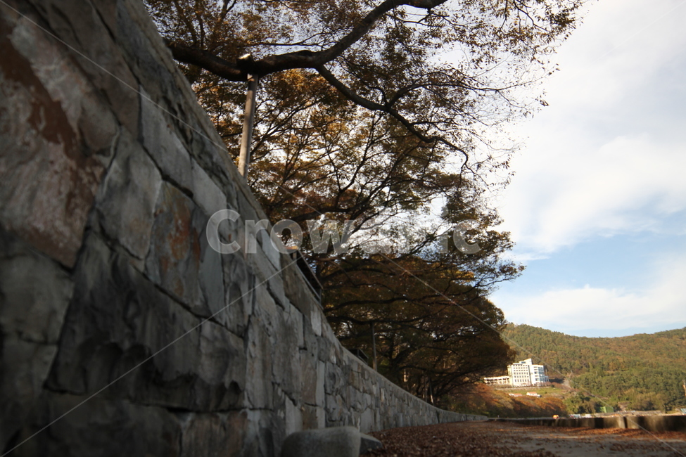 남해,방조림,물건방조림,풍경,남해바다,자연,풍경,nature,landscape,한국자연풍경,한국자연경관,korea nature landscape,walkway,보도,path,통로,wall,벽