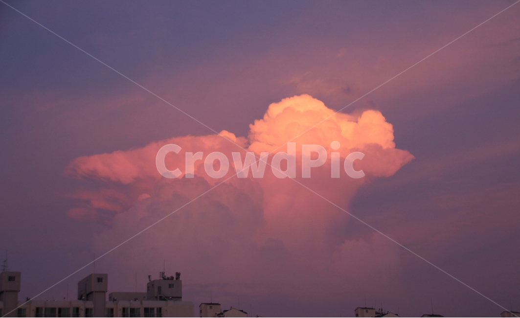 자연,풍경,구름,하늘,여름,분홍색,보라색,독특함,동네,감성,일상,nature,sky,summer,blue,pink,자연,풍경,nature,landscape,weather,날씨,outdoors,옥외,cloud,cumulus,적운