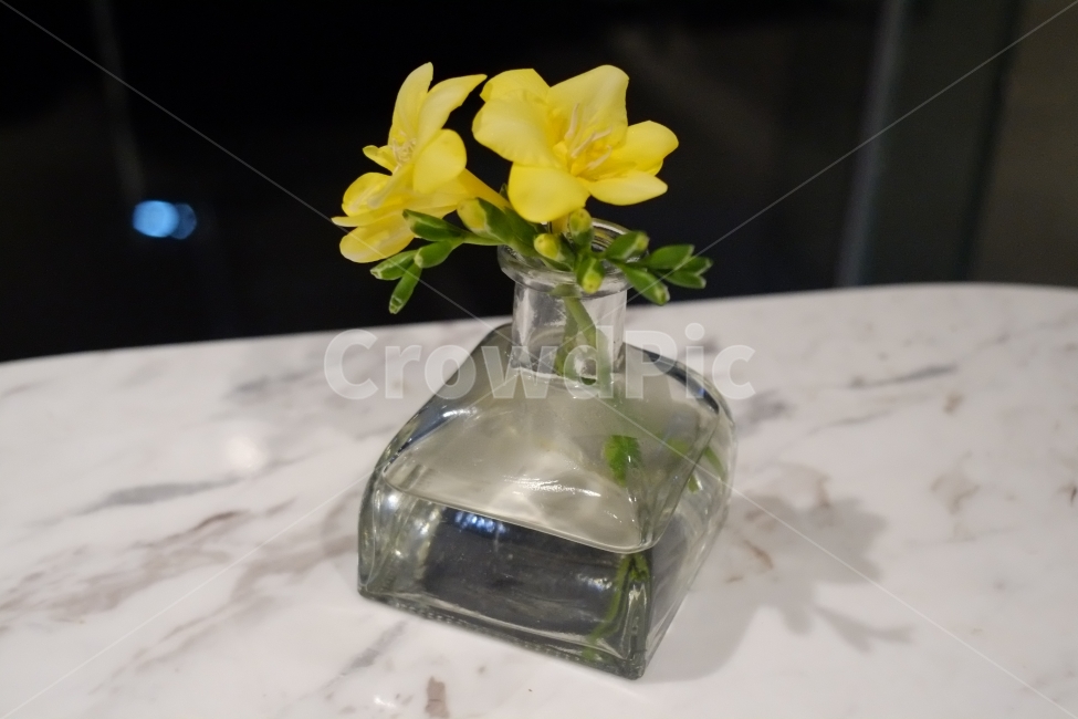 꽃,노랑,화병,대리석,인테리어,카페,생화,소품,배경,interior,cafe,flower,감성,식물,자연,plants,nature,꽃,flower,실내용화초,화분,화초,house plant,인테리어,실내디자인,interior design