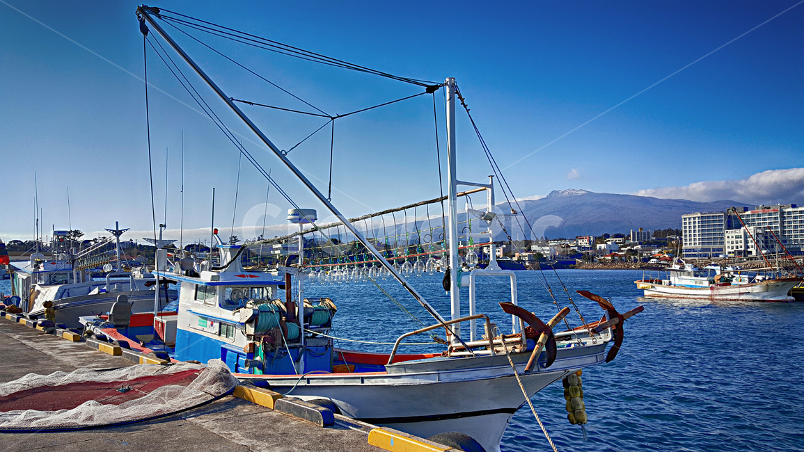 어선,항구,위미항,선박,교통,port,포트,바다,배,보트,boat,어업,fishery,fishing industry