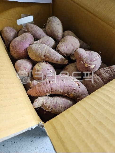 food,음식,고구마,농산물,특산물