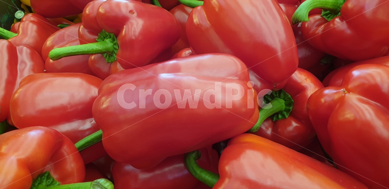 파프리카,채소,음식재료,food,vegetable,음식,빨간파프리카,빨강,빨간색,음식,식재료,요리,food,cook,meal,dishes,food reserves,채소,야채,vegetables