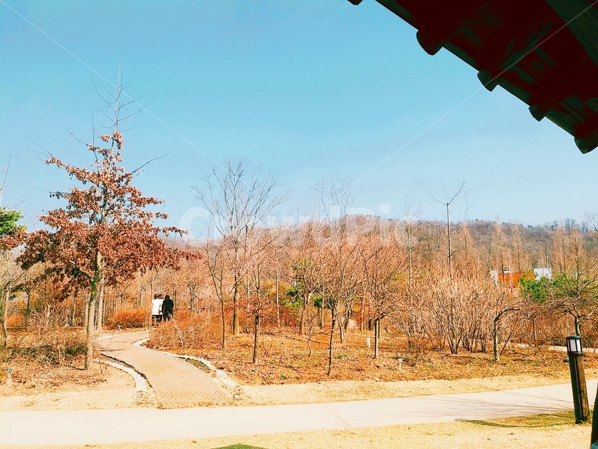 자연,nature,풍경,전라도,korea,한국
