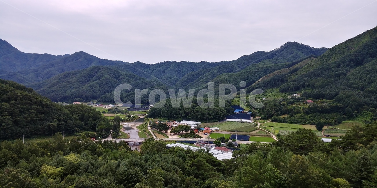 풍경,녹색,청량함,산,평온함,여유