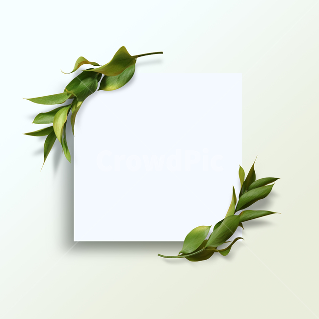 백그라운드,식물,자연,계절,봄,꽃,배경,배경이미지,내추럴,flower,nature,flora,background,풀잎,잎,잎사귀,프레임