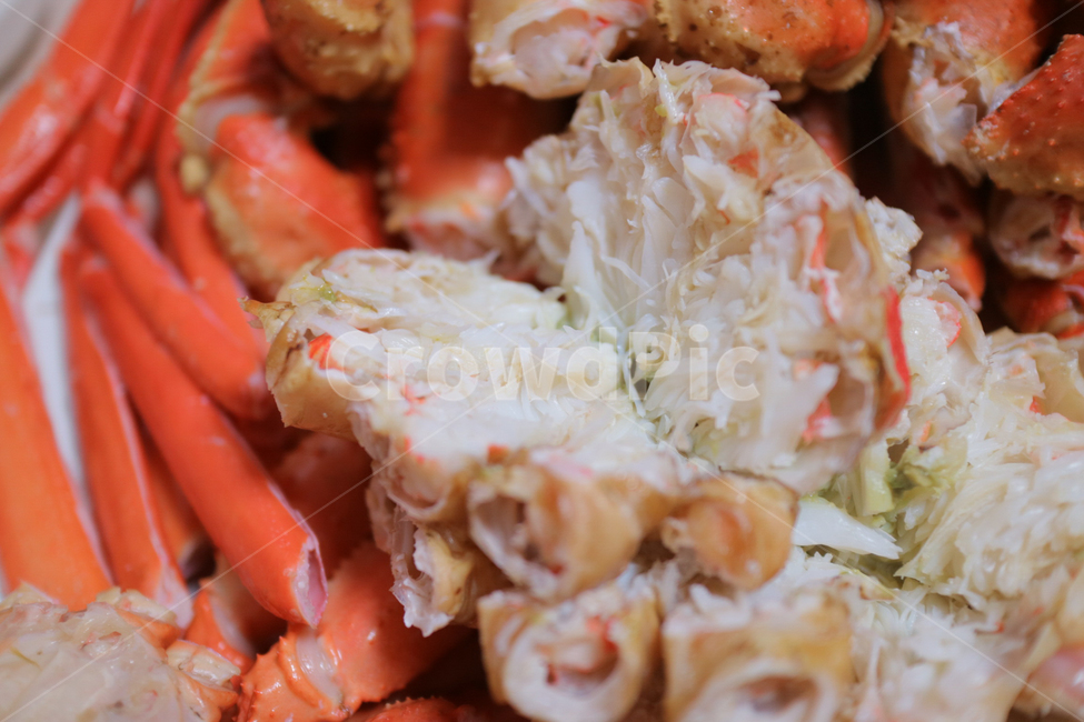 대게,해산물,게,음식,맛있는,음식,식재료,요리,food,cook,meal,dishes,food reserves,수산물,해산물,fishery products,seafood