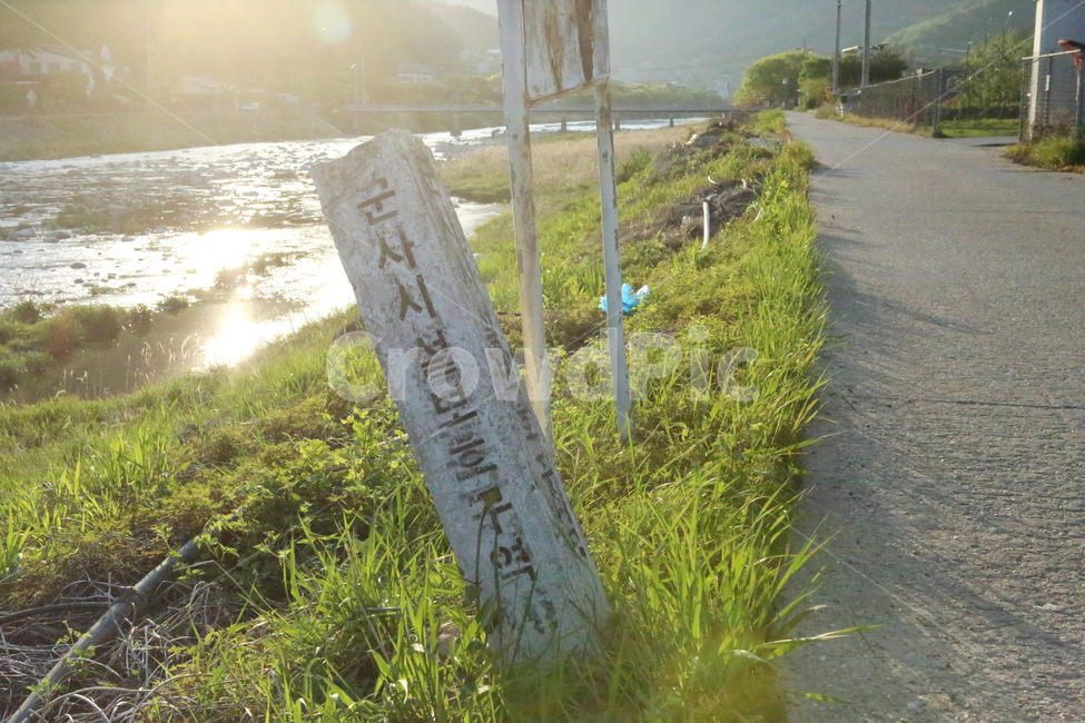 풍경,햇빛,배경,시골,비석,안내,자연,감성,초록,도로,rest,휴식,plants,휴식,힐링,rest,relaxation,healing