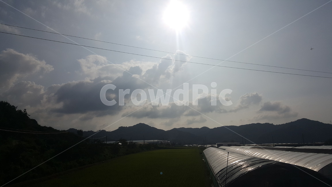 논산,풍경,해빛,해,하늘,농업,농사,agriculture,farming,farming industry