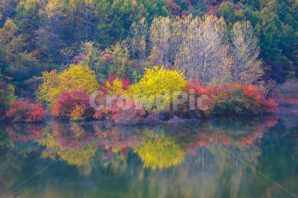 가을풍경,가을,반영,자연,nature,용담호,tree,plant,가을,계절,fall,autumn,season,자연,풍경,nature,landscape,한국자연풍경,한국자연경관,korea nature landscape