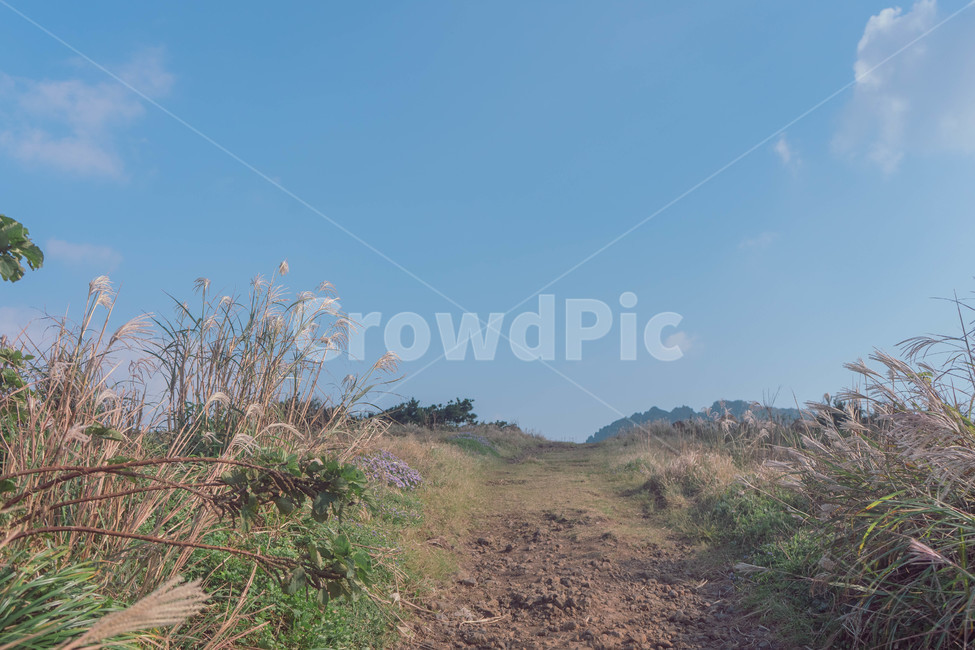 ground,자연,nature,도로,길,하늘