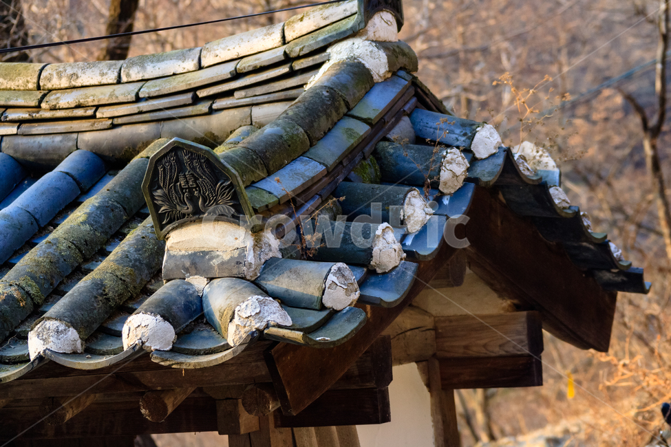 청량사,불교,건축물,종교,환경,한국전통,한국문화,korean traditional,korean culture,건축물,건물외관,exterior,building,structure,architecture,construction