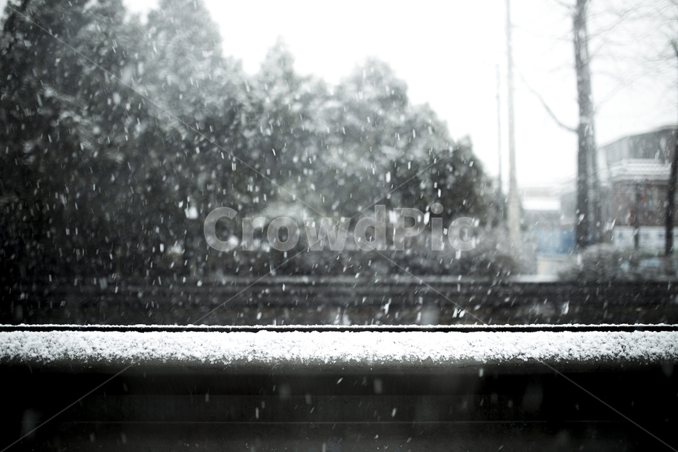 눈,겨울,눈내리는날,눈오는날,스노우,겨울,계절,winter,season
