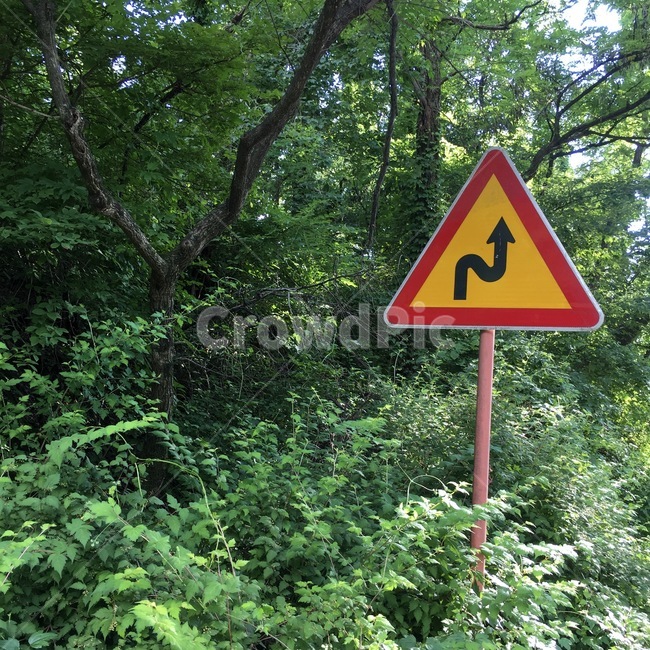 산,등산,숲속,자연,나무,풀,파릇파릇,초록,산속