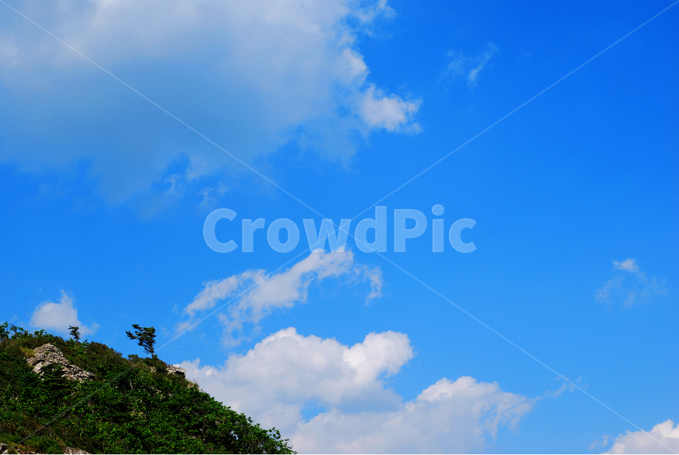 구름,산,능선,하늘,맑음,파랑색,블루,sky,cloud,clean,환경,바탕,배경,백그라운드,푸른,화창한,background,청명,blue,산아래,풍경,landscape,등산,mountain,healing,힐링,뭉게구름,맑은날,높은산,산위에서,나무,홀로,자연,풍경,nature,landscape,outdoors,옥외,azure sky,푸른 하늘