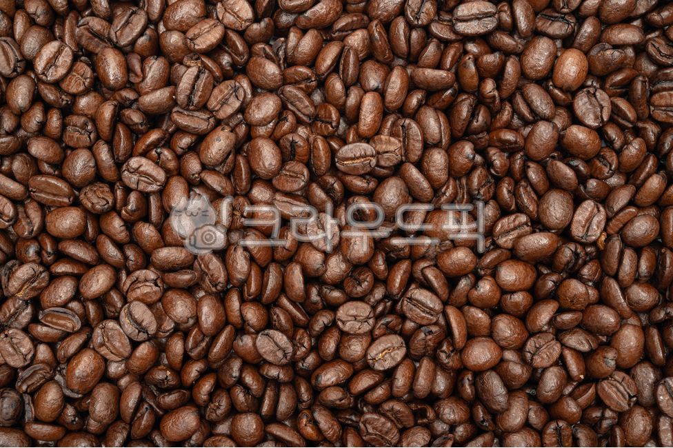 커피,원두,커피콩,백그라운드,배경,로스트,씨앗,종자,카피스페이스,카페인,음식,음료,브라운,갈색,곡물,질감,커피빈,흰색배경,탑뷰,무더기,더미,오브젝트,콩,볶다,정물,여백