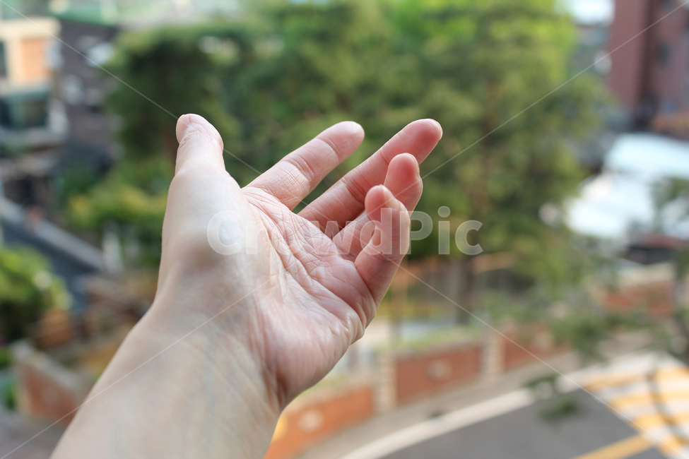 손,핸드,여자,여자손,성인,어른,사람,인체,신체,신체부위,부위,손가락,팔목,잡기,손바닥,손,제스처,표시,손짓,표현,gesture,hand,sign,expression