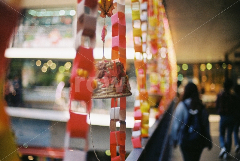 FM2,인사동,쌈지길,풍경,심도,필름,필름사진,필름카메라,감성,sensible,feeling
