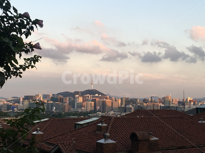 서울,남산,지붕,노을,구름,풍경