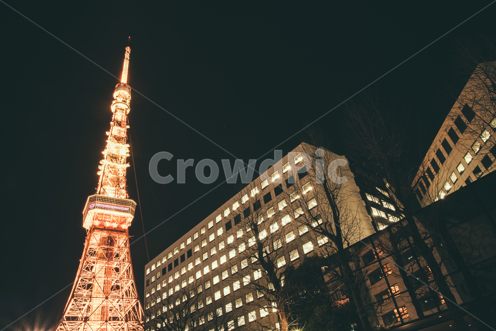 도쿄,도쿄타워,랜드마크,일본,야경,tokyo,japan,nightscape,야경,밤,풍경,nightscape,night,landscape,랜드마크,landmark,tourist attraction,해외,외국,세계,foreign,oversea,world,세계랜드마크,해외랜드마크,외국랜드마크,world landmark,world tourist attraction,감성,sensible,feeling,건축물,건물외관,exterior,building,structure,architecture,construction,spire,첨탑,steeple,뾰족한 탑,건물,tower,탑,town,도시,metropolis,중심지,urban,어반,city,시티,downtown,도심