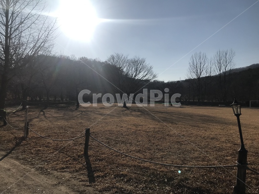 햇살,잔디,겨울,나무가지,앙상함