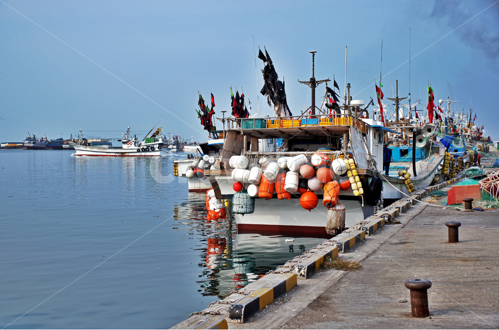 어선,고깃배,한림항,제주도,부두,입항,어업,fishery,fishing industry