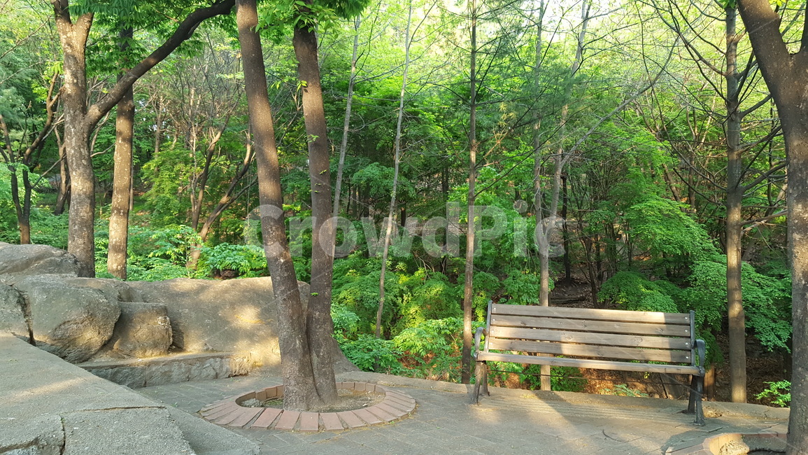 벤치,공원,초여름,수목,휴식,bench,park,earlysummer,trees,rest
