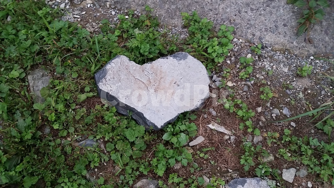 하트,돌,산,풀,사랑