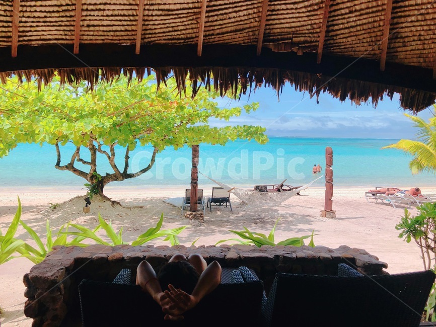 휴양지,여름휴가,여름,하늘,감성사진,tropical,palmtree,식물,tree,나무,summer,arecaceae,타히티