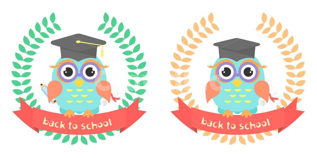 부엉이,안경,학사모,리스,졸업,이벤트,팝업,플랫디자인,일러스트,교육,학교,공부,education,learning,study,school,그래픽,일러스트레이션,graphic,illustration