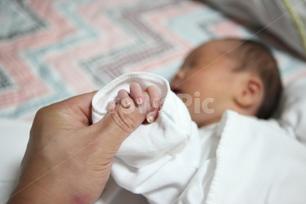 신생아,아기,악수,아기손,baby,사람,인물,인간,human,person,영유아,아기,애기,아이,infants,baby