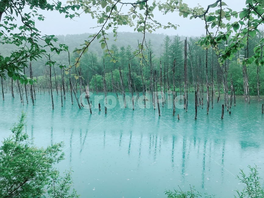 홋카이도,청의호수,호수,인공호수,일본,자연,풍경,nature,landscape,해외,외국,세계,foreign,oversea,world,세계자연풍경,해외자연풍경,외국자연풍경,world nature landscape,land,땅,outdoors,옥외,water,물
