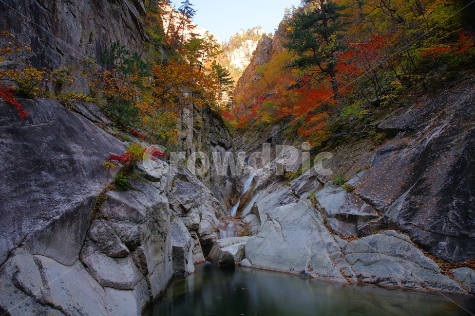 설악산,단풍,가을,오색폭포,풍경,가을,계절,fall,autumn,season,자연,풍경,nature,landscape,outdoors,옥외,mountain,산