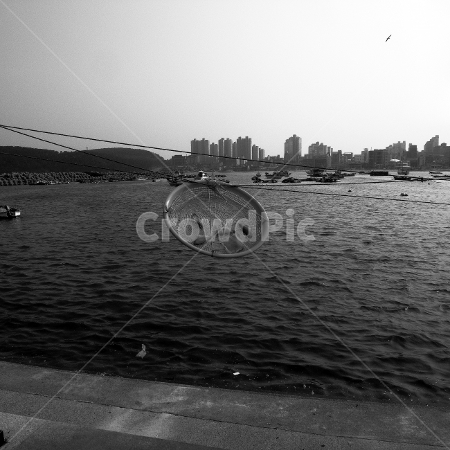 바다,말린생선,해풍,흑백사진,정방형,11,바다풍경,물고기,공판장,도시,풍경,city,landscape,흑백,모노톤,monochrome,black and white,산업,industry,industrial,어업,fishery,fishing industry,교통,교통수단,traffic,transportation,water,물,nature,자연,outdoors,옥외