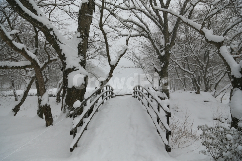 선운사,겨울,눈,사찰,설경,겨울,계절,winter,season,자연,풍경,nature,landscape,snow,storm,폭풍,outdoors,옥외,blizzard,눈보라