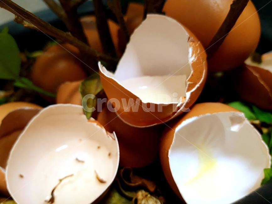 계란,껍질,계란껍질,달걀,달걀껍질,조각,음식,식재료,요리,food,cook,meal,piece,ingredient