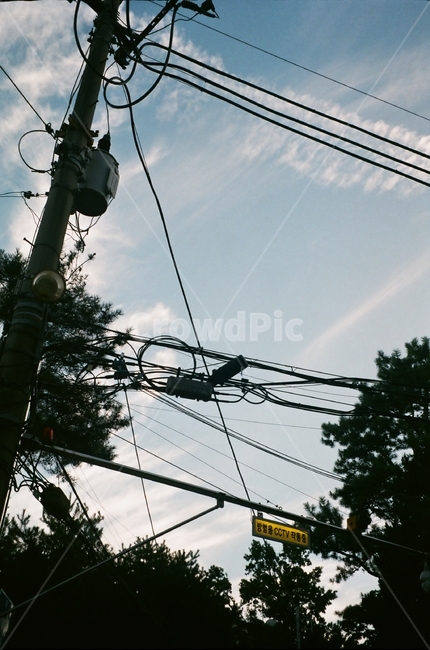 하늘,구름,전봇대,전선,나무,산업,industry,industrial,에너지산업,energy industry,utility pole,전신주,cable,케이블