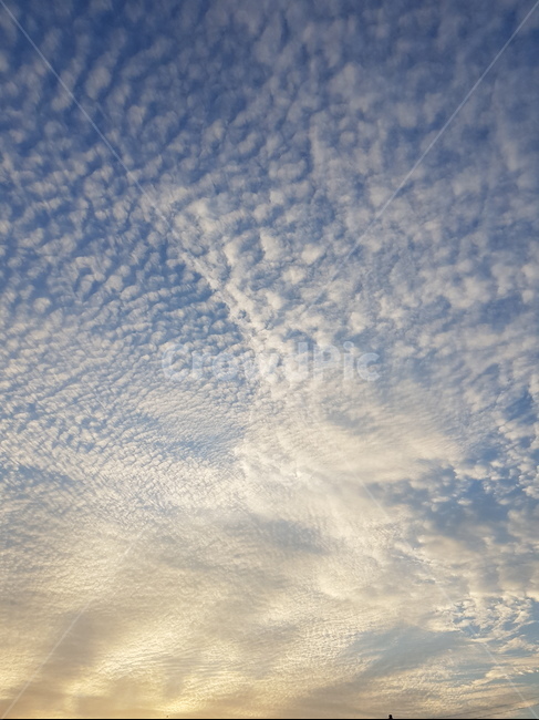 구름,하늘,양떼구름,자연,cloud,sky,nature,날씨,weather