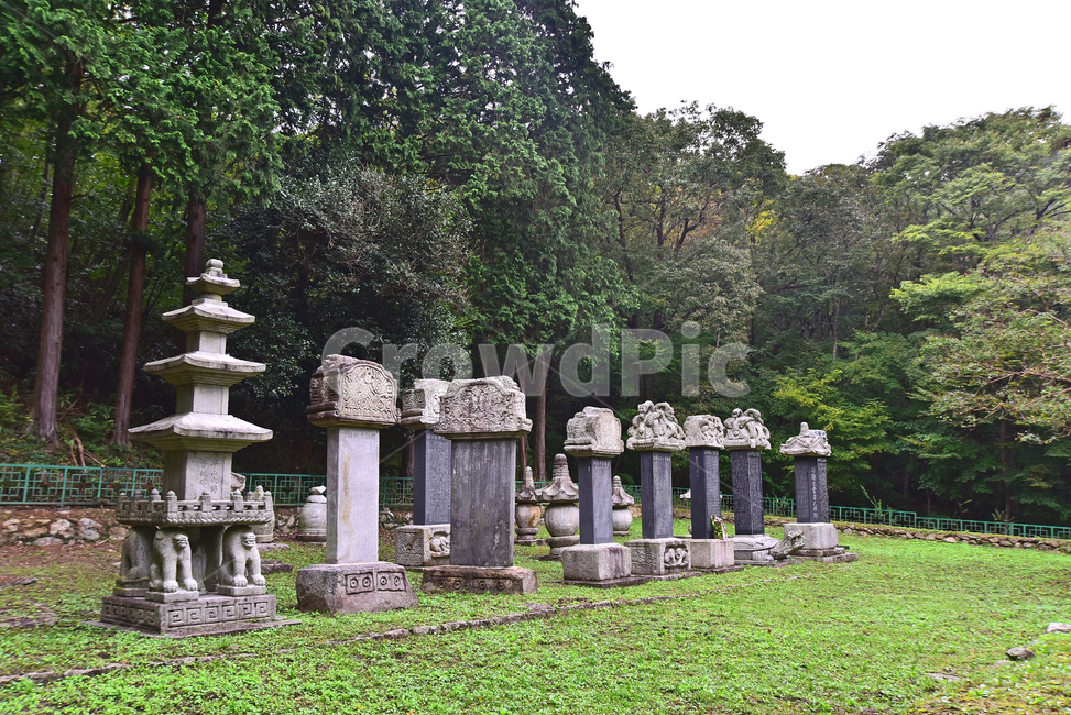선암사,부도밭,불교문화,석물,탑,오래된,세월,돌,암석,화강암,forest,묘탑,사리탑,숲,녹지,무덤,tomb