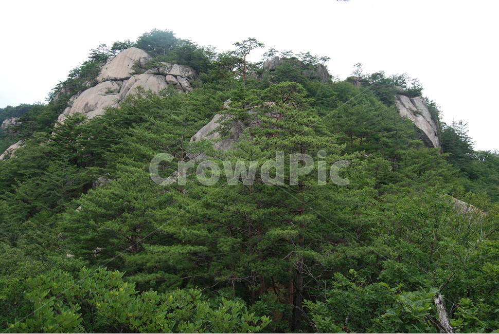 summer,hikingtrail,nature,mountain,산,자연,풍경,nature,landscape,outdoors,옥외,slope,경사,plant,식물,vegetation,초목