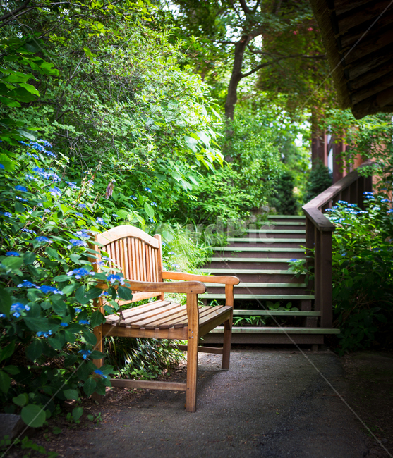 아침고요수목원,가평,여름,의자,식물,자연,nature,벤치,수목원,휴식,힐링,healing,chair,꽃,flower,korea