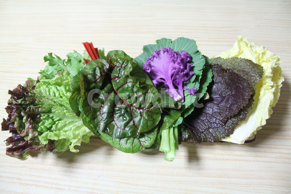 야채,채소,쌈,음식,식사,상추,쌈채소,음식,식재료,요리,food,cook,meal,dishes,food reserves,채소,야채,vegetables