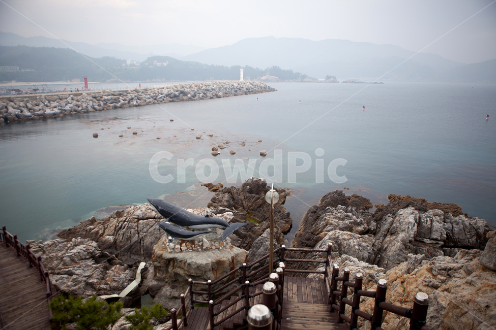wave,nature,자연,outdoors,water,해안선,shoreline,ocean,sea,바다,암초,동해,삼척,장호항,바위,돌,rock